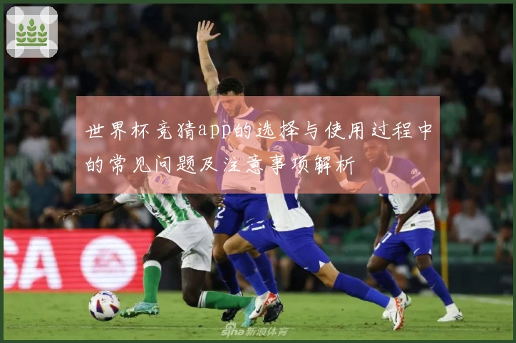 世界杯竞猜app的选择与使用过程中的常见问题及注意事项解析